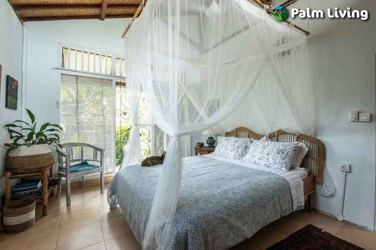 Cozy House in Penestanan for Sale
