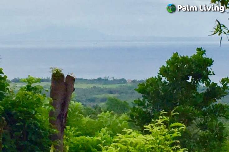 Kayuputih Land For Sale - Bali