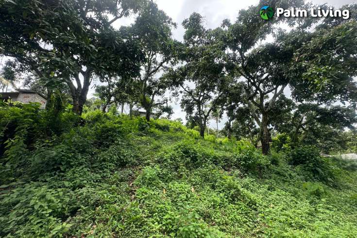 Land Hillside Kayuputih for Sale
