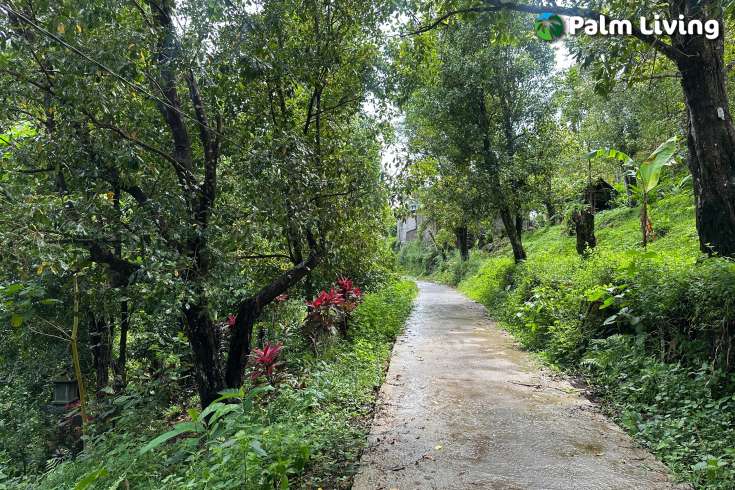 Land For Sale in Panji with Beautiful Sea View