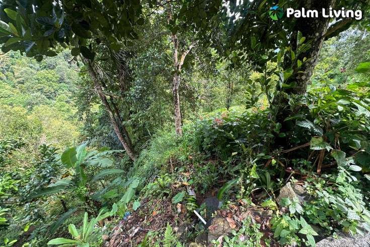 Land For Sale in Panji with Beautiful Sea View