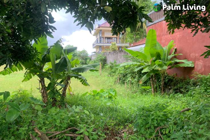 Strategic Plot in Lovina Central
