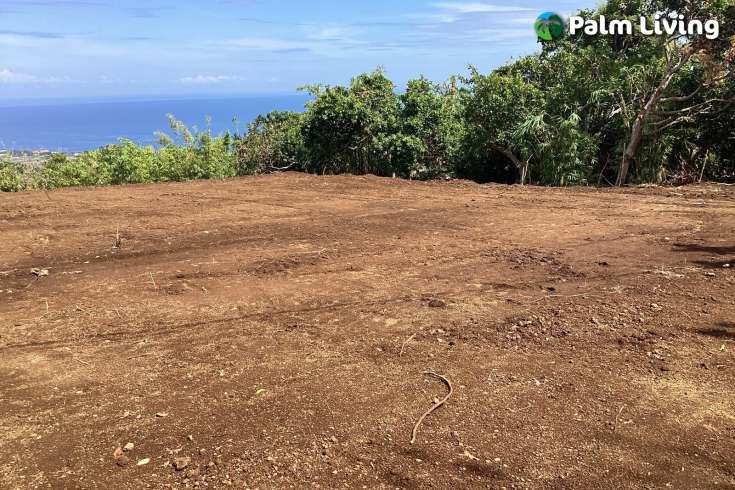 Spacious Ocean View Land for Sale