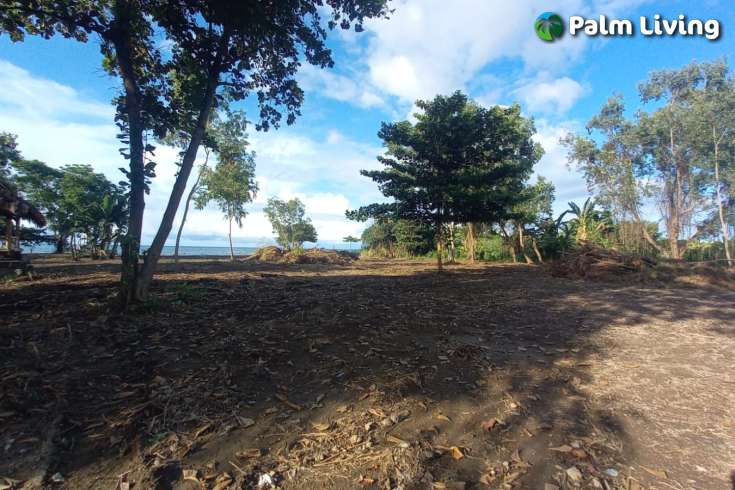 Beachfront Land for Sale in Singaraja