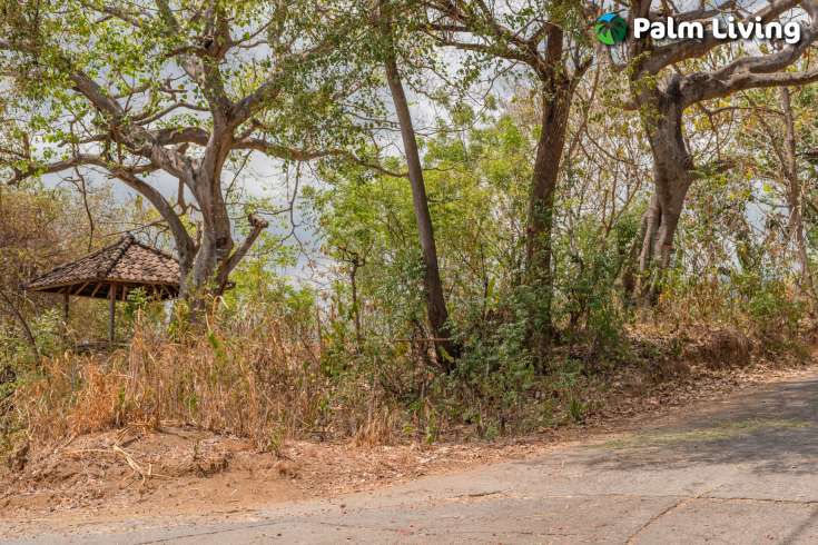 Perfect Land Plot close to Central Lovina