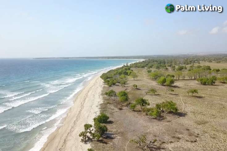 Seaside Prime Land near Wera Beach for Sale