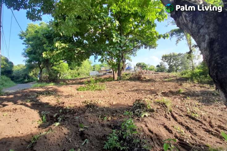 Panoramic Land for sale in Umeanyar