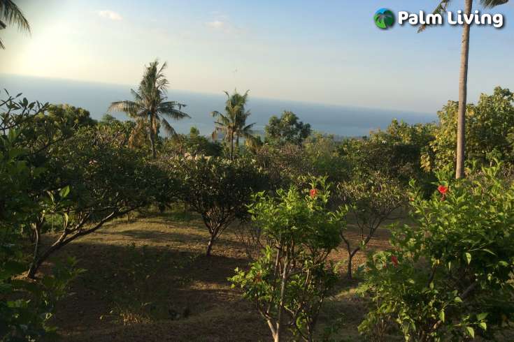 Land for Sale in Bali: 180 Degree Views