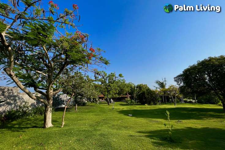 Villa or Yoga Retreat Estate in Pemuteran