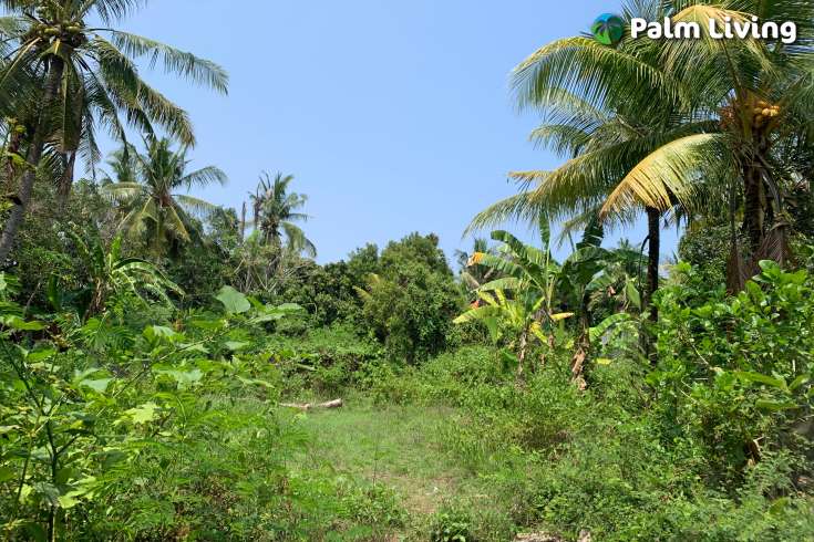 A Plot Land for Sale in Labuhan Aji