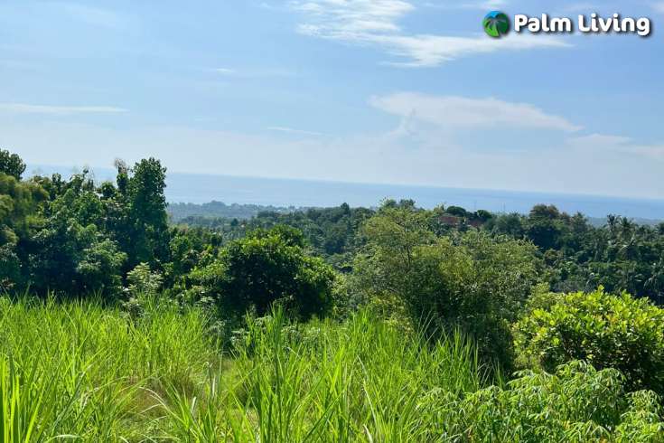 Hillside Land close to Central Lovina