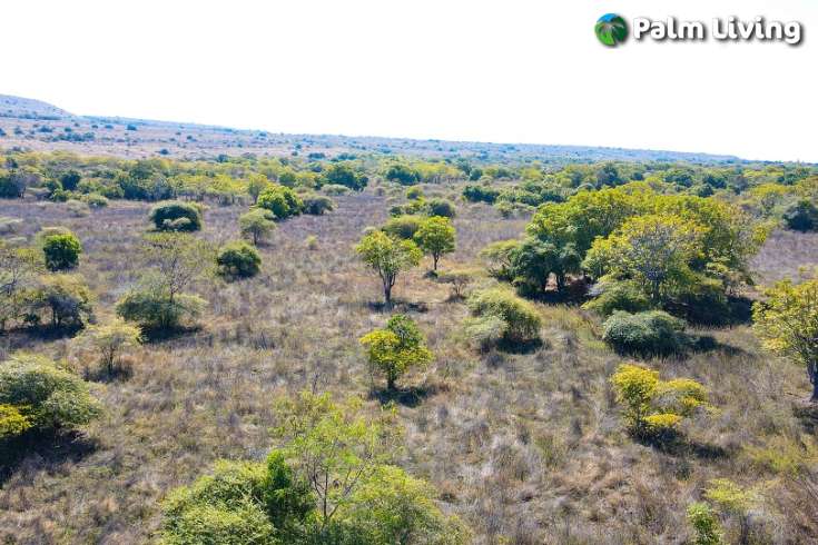 Huge Beachfront Land in Hamba Praing Sumba