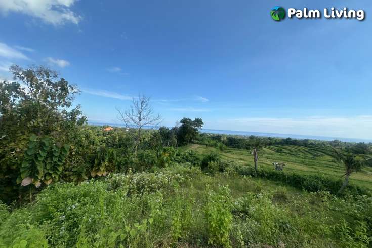 Land for Sale with Stunning Views in Panji
