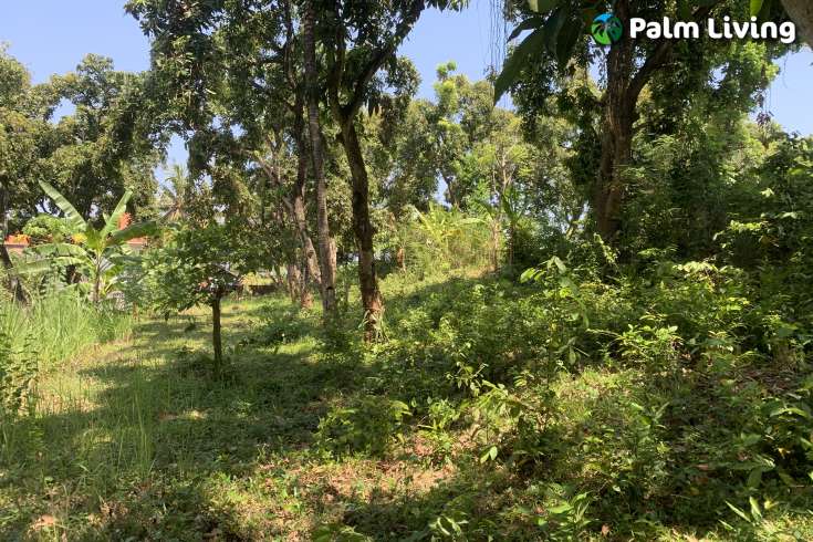 Landplot for Sale in Kaliasem