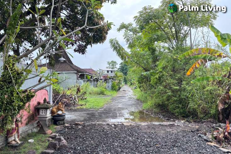 Minimalist House for Sale in Central Lovina