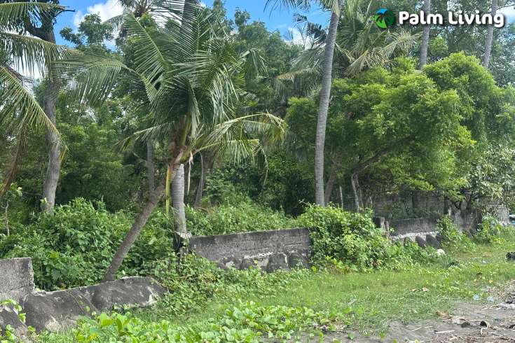 Rare Beachfront Land Close to Lovina