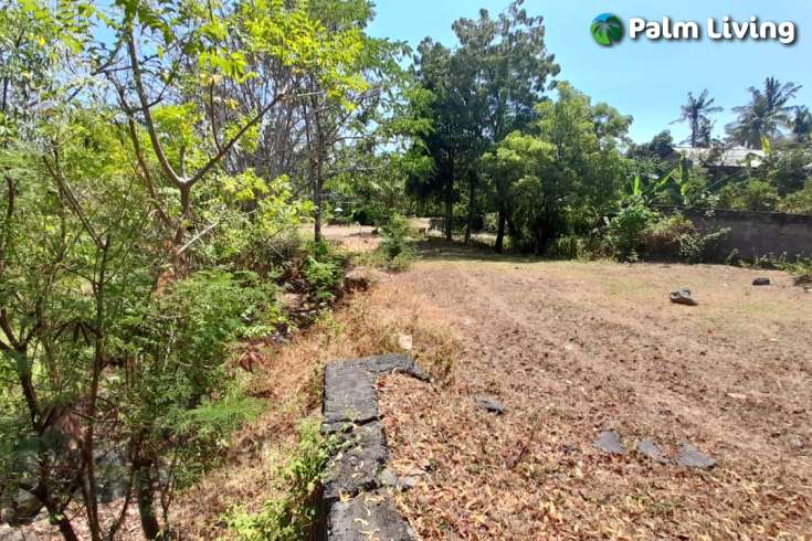 Unique land plot close to central Lovina