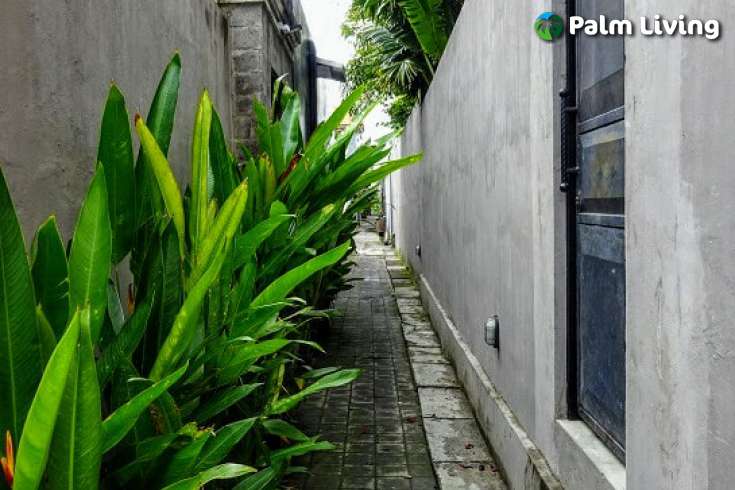 Modern Villa For Sale In Seminyak