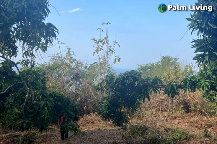 Cempaga Hillside Plot For Sale