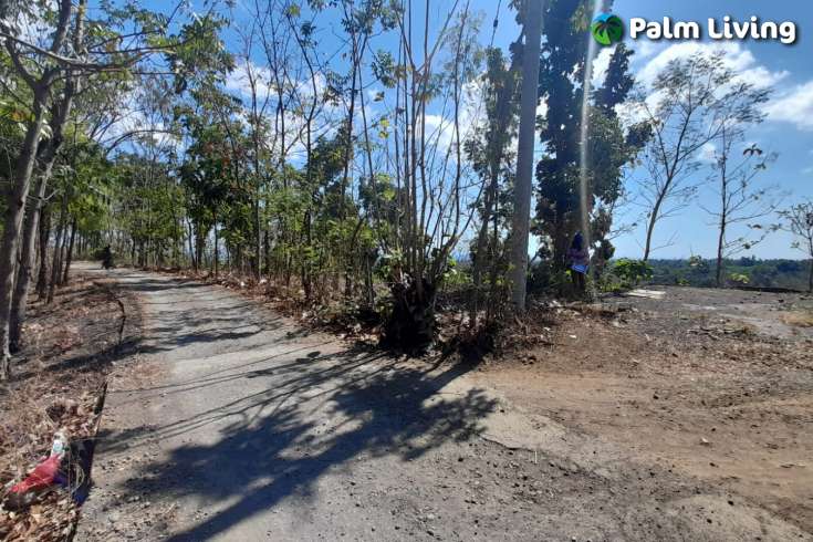Hillside Land For Sale, North Bali