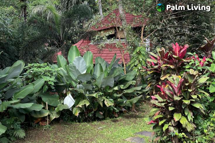 Unique Villa Surrounded by Nature