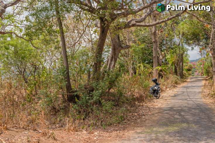 Perfect Land Plot close to Central Lovina