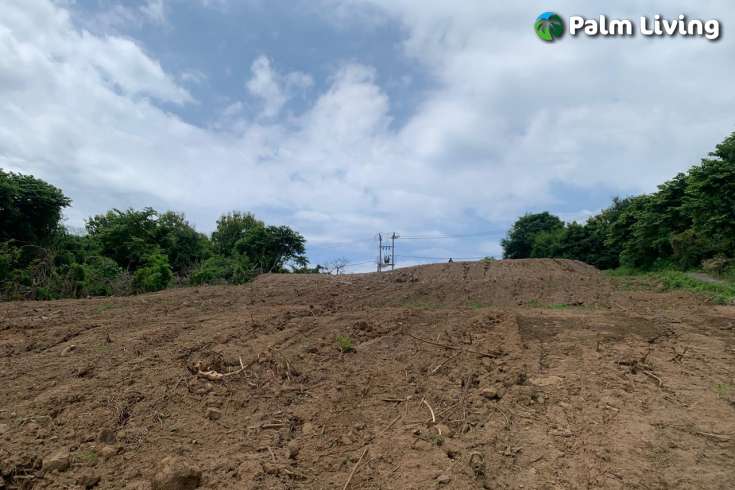Hillside Land For Sale Bali