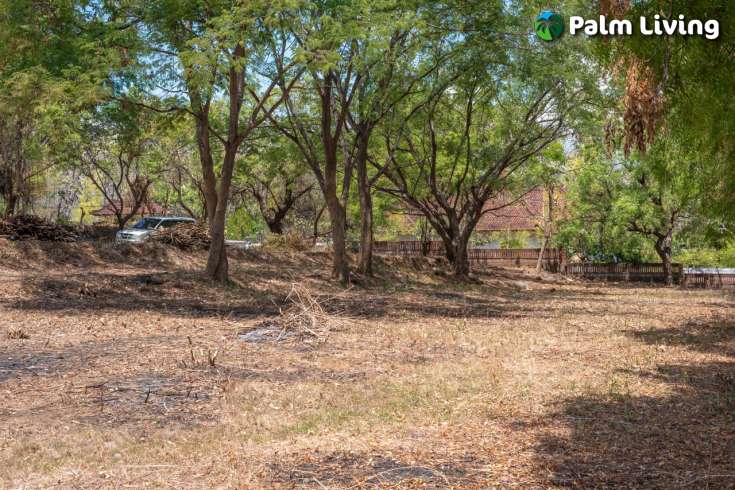 7700m2 plot in tranquil Umeanyar