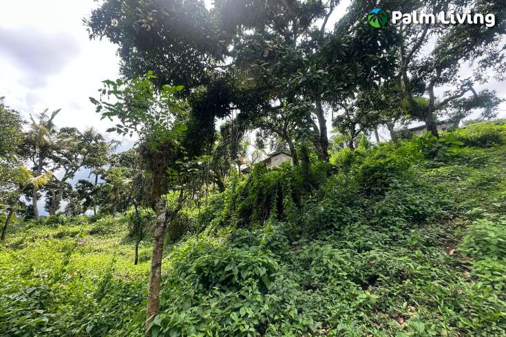 Land Hillside Kayuputih for Sale