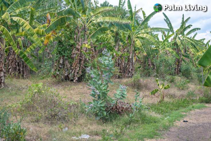 Land with great views in Umeanyar for Sale