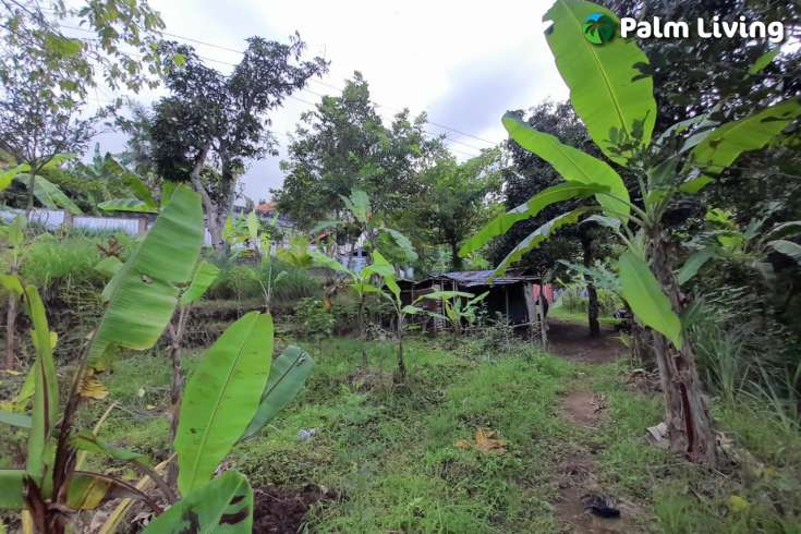 Land For Sale in Kayuputih