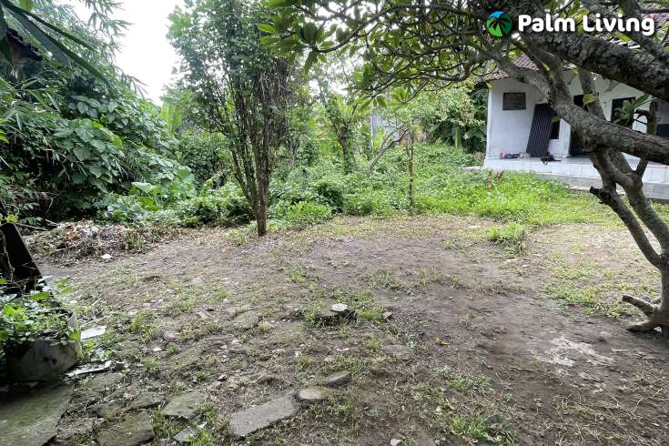 Small Plot of Land for Lease in Ubud