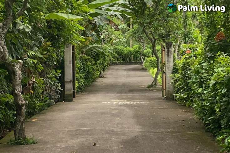 East Bali Land for Sale