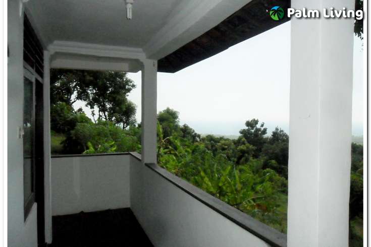 Kayuputih Land For Sale - Bali