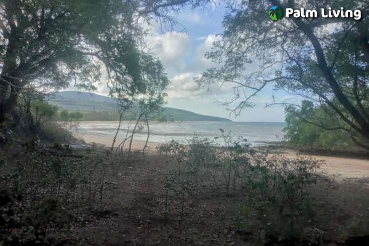 Tranquil Land For Sale in Sumba