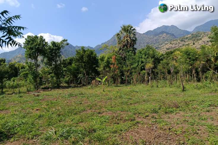 Freehold Land for sale in Pemuteran