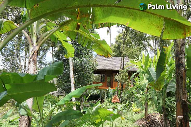 Tabanan mountain resort for sale