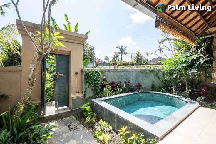 Cozy House in Penestanan for Sale