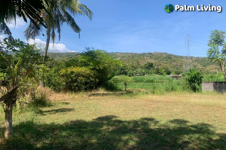Primesized Land near Lovina for Sale