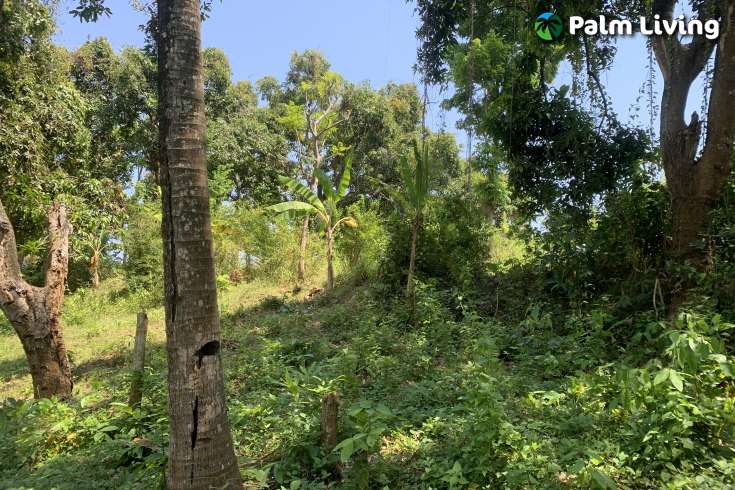 Landplot for Sale in Kaliasem