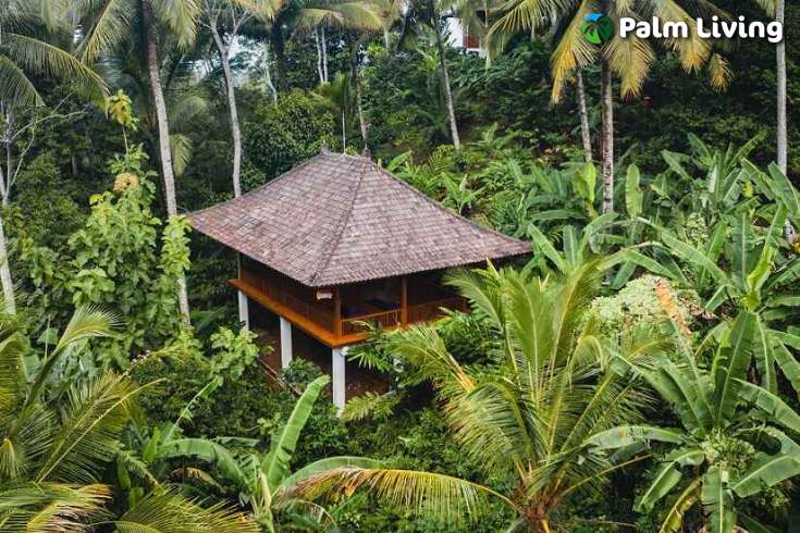 Tabanan mountain resort for sale