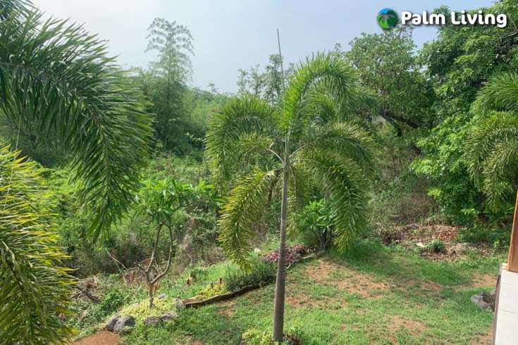 Land plot with Small Two Storey House
