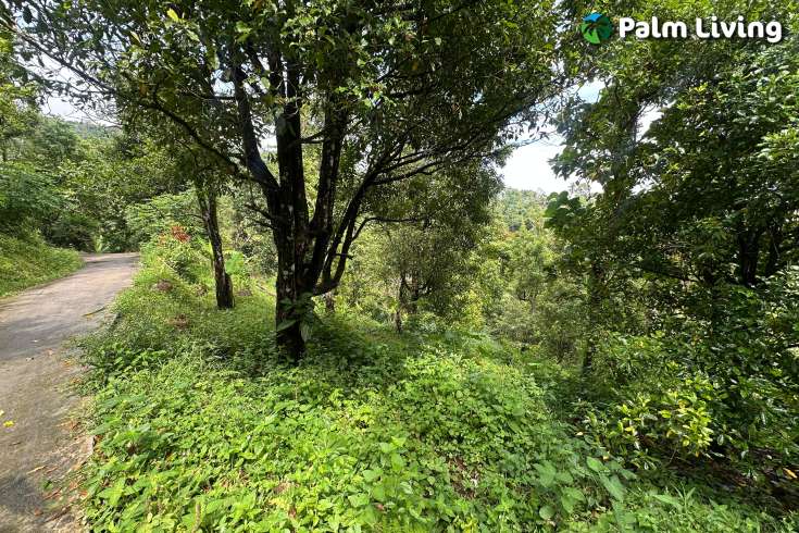 Land For Sale in Panji with Beautiful Sea View