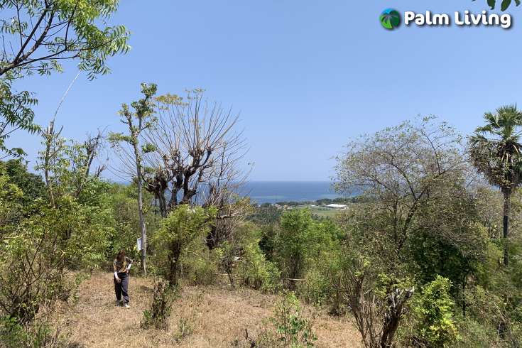 Hillside Plot with Ocean View