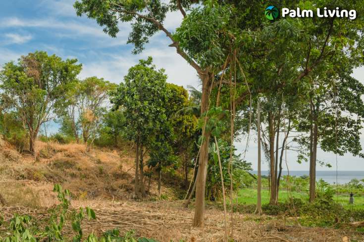 Land with Panoramic Views in Umeanyar