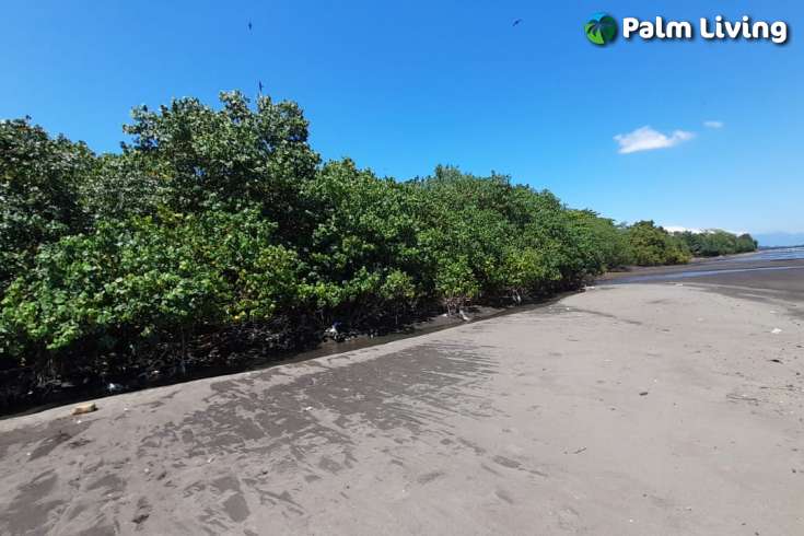 Bali Beachfront Land for sale