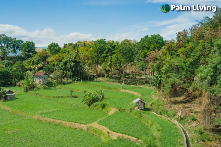 Land with Panoramic Views in Umeanyar