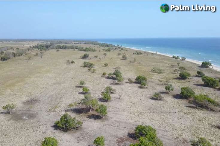 Seaside Prime Land near Wera Beach for Sale