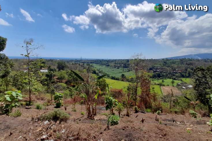Hillside Land For Sale, North Bali