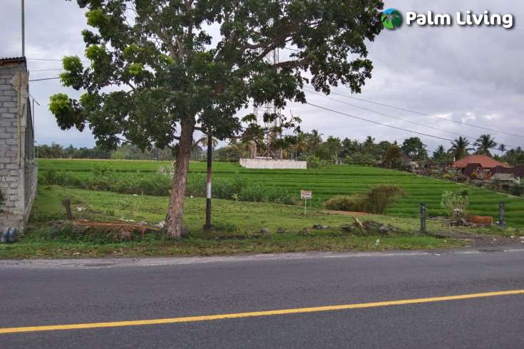 Land for Sale in Tabanan